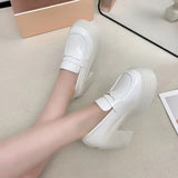 Coarse Black High-Heeled Women's Autumn 2025 New Student Thick-Soled Leveal Shoes JK Small Leather