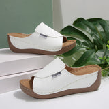 Thick-Bottomed Casual Slippers Women 2025 New Word Drag Simple Fashion Fish Mouth Slope And Lady Cold
