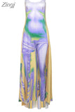 Women Winter 2023 New Y2K High Street Unique 3D Sexy Printed Slip Vintage Dress Fit And Flare Bohemian Chic
