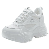 Old Dad Shoes Women 2025 Summer New Set-Up Women Small Net Breathable