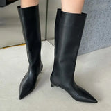 And Winter New Wearing Pointed Wide Boots But Knee-High Cat And Knight Boots Fashion