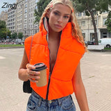 Women's Autumn Winter Crop Tops Fashion Puffer Lightweight Vest Contrast Color Sleeveless Down Streetwear Jacket