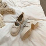 Mary Jane Shoes Women's Summer 2025 New Shallow Thick Heel Single Shoe Bow With Skirt Jk Small Leather