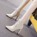 Black High Hedley Boots Women 2025 New Autumn/Winter With Pointed Boots Side Zipper Coarse And Martin