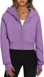 Korean Version Of The Autumn And Winter 2025 Version Of The Fashion Hooded Pocket Zipper Plus Velvet