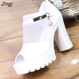 New Fashion High Heels Square Heel New Summer Fashion Non-slip Thick Sole Sexy Fish Mouth Zipper Mesh Sandals