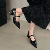 Small Leather Shoes Women 2025 New Spring Thick Heel Low Heel High Heels Retro French Temperament Mary Jane Single