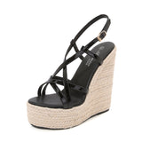 Zingj Sexy New Fashion Simple Hate Sky High Wedge Heel Waterproof Platform Car Model