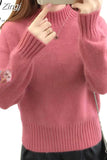Winter Women Sweaters and Pullovers Long Sleeve Casual Embroidery Turtleneck Slim Knitted Jumpers Pull Femme