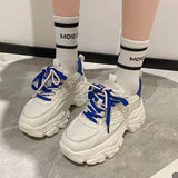 Dad Shoes Women 2025 Autumn And Winter New Loose Pastry Single Shoes Fashion Thick Soles To Increase The Leisure Small White