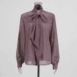 Senior Sense Long-Sleeved Shirt Women 2025 Autumn And Winter New Ribbon Irregular Perspective Design Thin Top
