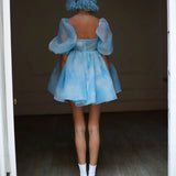 Short Sleeve Puff Tulle Mini Dress-Outfit