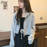 Hat Hoodies Chic Autumn Trendy Korean Solid Zip-up Ladies Cropped Hoodie All-match Loose Popular Womens Sweatshirts