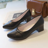 Heel Single Shoes Women 2025 New Spring And Summer Small Fragrant Wind Soft Leather Soft Sole Commuting Women's Shoes Square Head Gentle Mary Jane