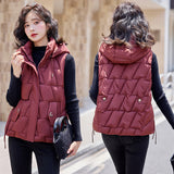 Down Cotton Vest Female Autumn Winter 2024 New Korean Version Vest Stand Collar Short Horse Clip All-Padded Clothes Vest Coat-Outfit