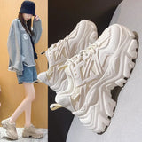 Street Old Dad Shoes Women's Winter 2025 New Ins Thick Bottoms To Increase Small Sports