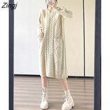 Long Sweater Dress Women With Pockets 2022 Autumn Winter Casual Solid Thick Warm Loose Long Sleeve Dress Female