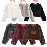 Women's Explosive Artificial Fur Coat Effect Short Jacket