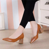 Women's Shoes 2025 New Autumn Korean Version Of The Pointed-Headed Single Shoes Women's Thick Heel Sexy High Heels Professional