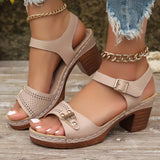 Sandals Women Wear 2025 Summer New Thick-Heeled High-Heeled Sandals Women Casual
