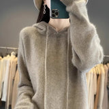 Hooded Sweater Autumn And Winter New Fashion Sweater Knitted Shirt Tsets Thicken Warm Sweater Hooded Sweater Hooded Sweater