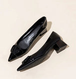 Temperament Net Red Fashion Sharp Thick Heel Single Shoes Women 2025 New Shallow-Mouthed Comfortable Career Heel High