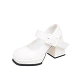 Heel Mary Jane Shoes Women 2025 Spring Autumn New Thick Heel Women's Shoes With Small Leather Shoes Women's Fashion