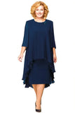 Shipping Mother of The Bride Dresses 2021 Chiffon Plus Size Long Sleeve Party Gown robe de soir¨¦e de