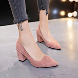 High-Heeled Velvet Single Shoes Women's Coarse Heel And Light-Mouthed Pointed Fashion Shoes Ladies