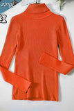 2023 Basic Turtleneck Women Sweaters Autumn Winter Warm Pullover Slim Tops Ribbed Knitted Sweater Jumper Soft Pull