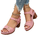 Sandals Women Wear 2025 Summer New Thick-Heeled High-Heeled Sandals Women Casual