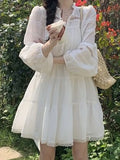 White Lace Dress Women Hollow Out Mini Dress Female Elegant Sweet Dress Ladies Long Sleeve V Neck Lace Up