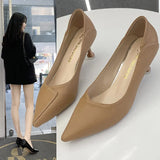 Women's Fine Heel 2025 Spring And Autumn New Women's Shoes Black French Pointed Single Shoes Professional Temperament Working