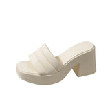 / Summer 2025 New Platform Sandals Thick Heel Square Head Female Summer Wear High Heel Broadband