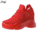 Autumn High Platform High Heels Women Thick Sole Shoes Heels Wedge Sneakers Breathable Mesh Casual Shoes