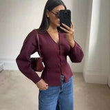 Women's INS Explosion V-Neck Long Sleeve Simple Knitted