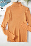 2023 Basic Turtleneck Women Sweaters Autumn Winter Warm Pullover Slim Tops Ribbed Knitted Sweater Jumper Soft Pull