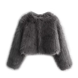 Women's Clothing 2025 Autumn And Winter Multi-Colored Artificial Fur Short Jacket Jacket Women