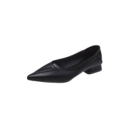 Slope And Coarse Heel Women's Shoes 2025 Autumn New Fairy Breath Net Red Pointed Gentle Single Shoes