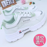 Dad Shoes 2025 Spring And Summer New Hundred Leisure Ins Tide Thin Nets Breathable Sports