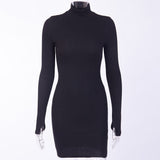Turtleneck Long Sleeve Skinny Mini Dress Women Autumn New Cotton Solid Elastic Dresses 4 Color Bodycon Casual