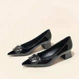 Temperament Net Red Fashion Sharp Thick Heel Single Shoes Women 2025 New Shallow-Mouthed Comfortable Career Heel High