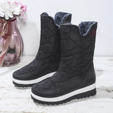 Winter Cotton Boots Women Wear Velvet Thick Snow Boots High Help Cotton