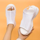 Spring And Summer Thick Bottom Net Cloth Pine Bottom Fashion Leisure Flat Bottom Hollow Fish Mouth Women Sandals