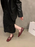 Bottom Spring And Autumn Square Head Silver Mary Jane Single Shoes Women's Shoes 2025 Spring French Small Red Gentle Casual