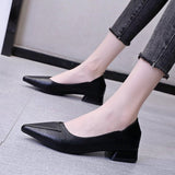 New Fashion Low-Heeled Sharp Women's Single