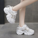Shoes Women's Thick Back Retro 2025 Spring To Increase The Old Dad Shoes Small Net Mesh Casual Shoes
