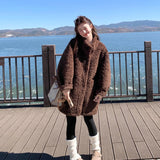 Imitation Fur Jacket Lady Loose Long-Sleeved Coat Toka Fox Hair In Autumn/Winter