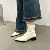 Short Boots Women's New 2025 Autumn / Winter Women's Boots Fashion Thick Heel Thin Boots Niche Design Martin