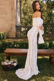 Lace Long Sleeve Off-shoulder Dress- Outfit